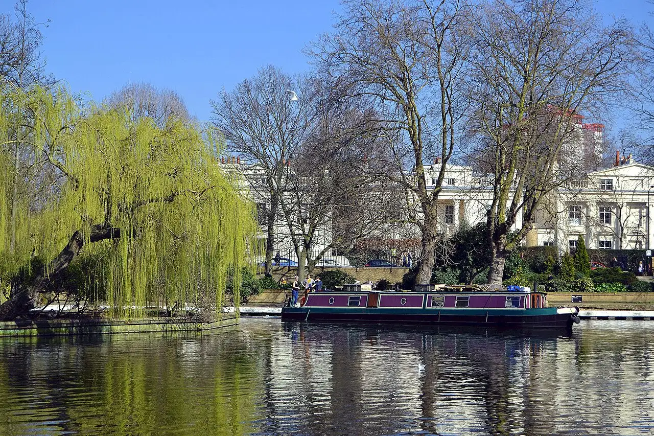 Il bacino di Little Venice in una giornata limpida: un salice sull'isoletta, una chiatta viola ormeggiata e le case bianche in stile Regency dietro gli alberi